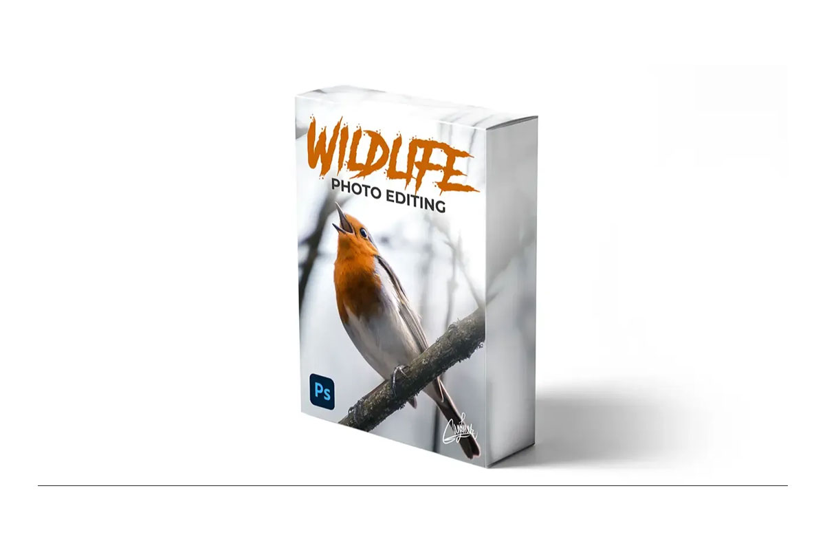 Zenja Gammer - zenzcourses - Wildlife Photo Editing Course